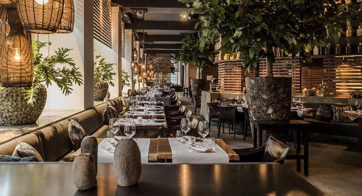 Un ristorante elegante e moderno con tavoli in legno, sedute con cuscini, grandi piante in vaso, lampade intrecciate appese e una calda illuminazione d'ambiente.