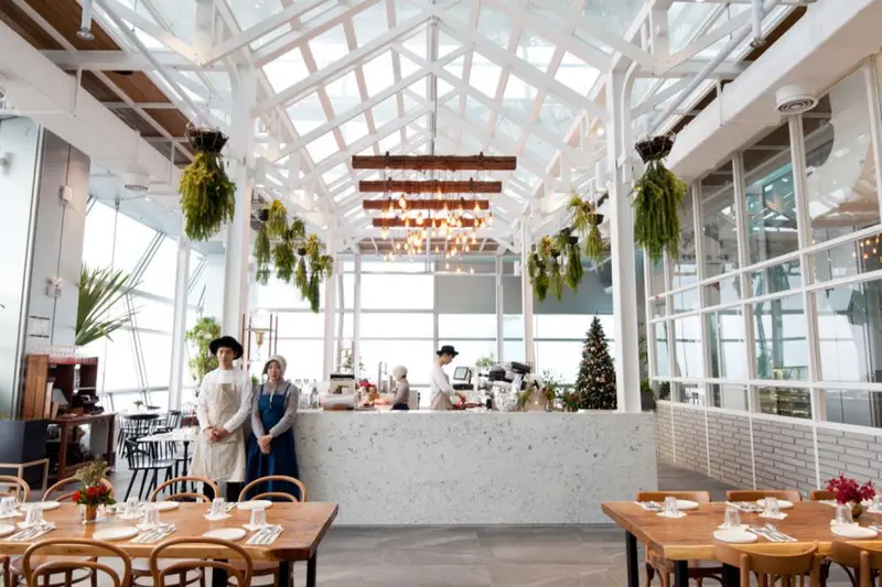 Caffè luminoso e arioso, con grandi finestre, tavoli in legno per mangiare e un bancone bianco. Due membri del personale in uniforme sono in piedi al bancone. Dal soffitto pendono piante; sullo sfondo un albero di Natale.
