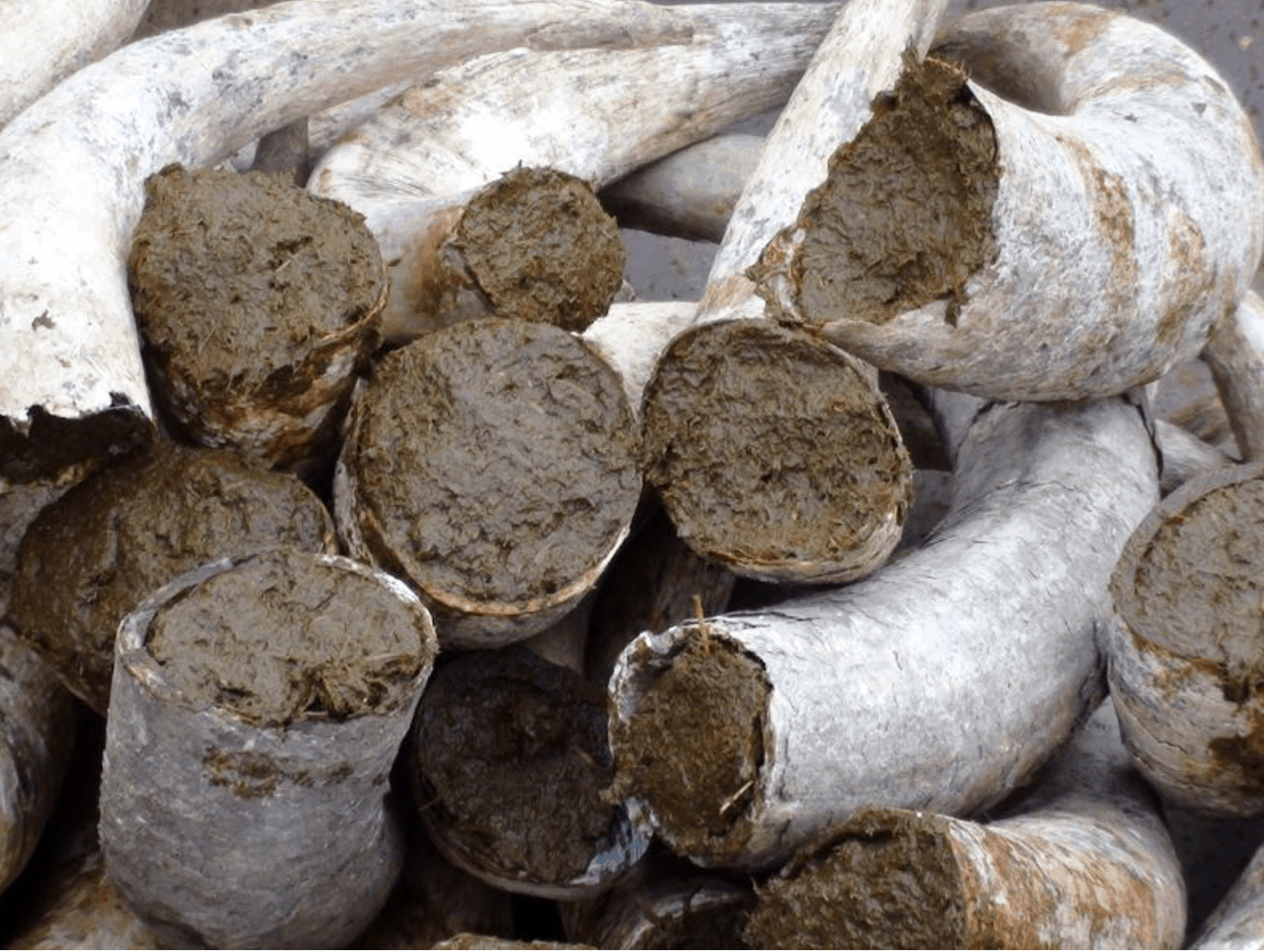 il-vino-naturale-bonta-mistica-e-artigianale_5