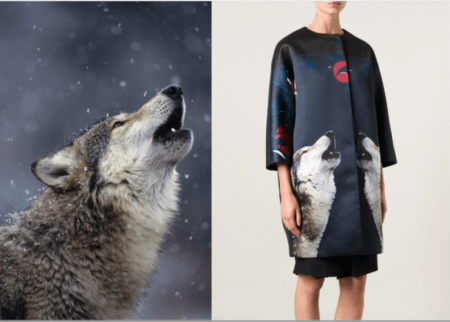 proteggere fotografia