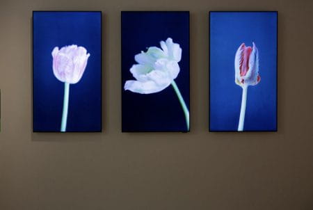 Gli nft ad Art Basel