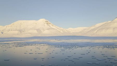 Guindani e Generali: la volpe artica non si mimetizza più
