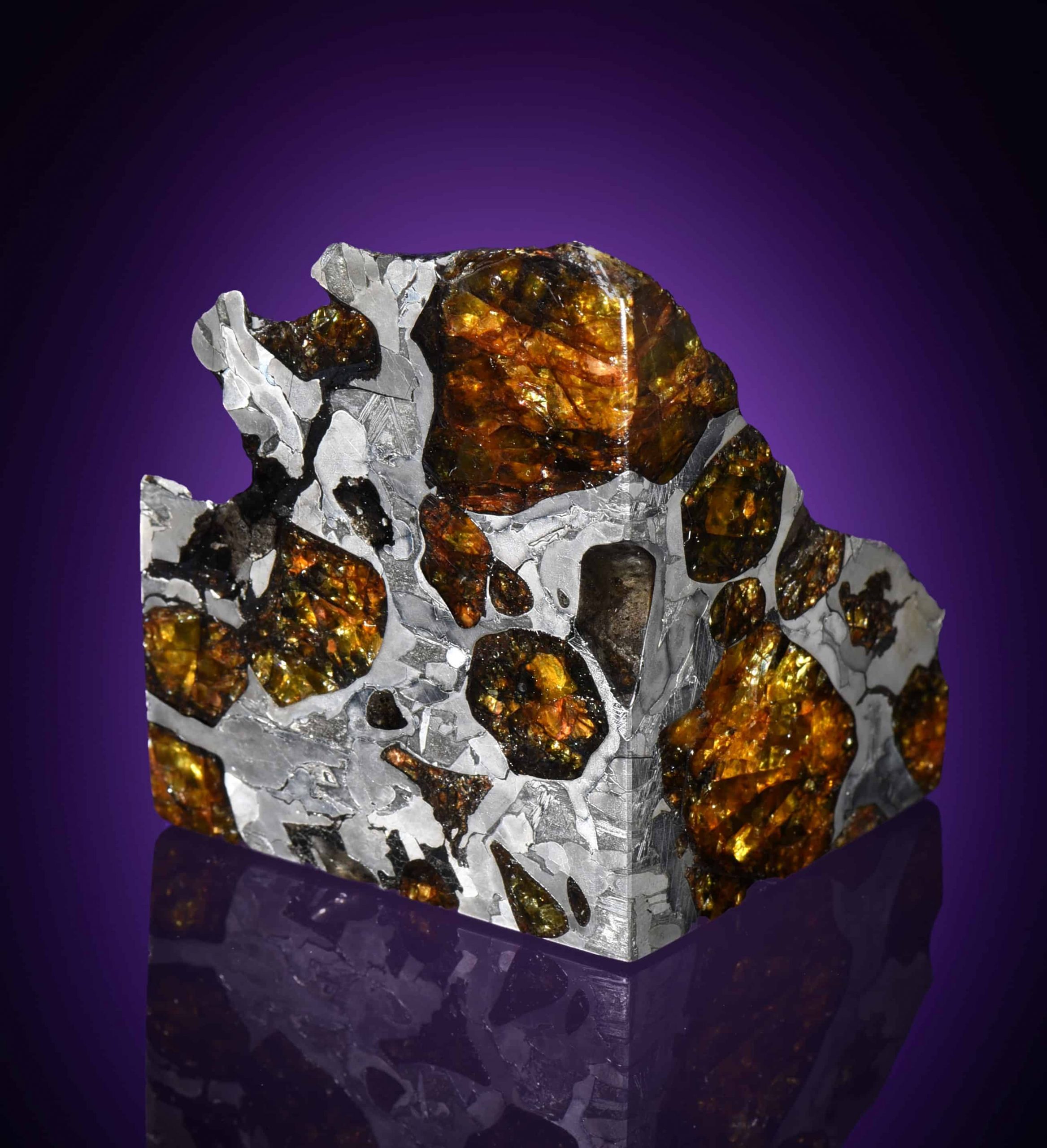 dalle-wunderkammer-alle-rocce-spaziali-universo-in-asta_5