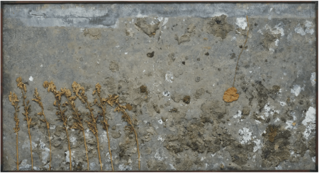 Anselm Kiefer Anthurie, 1987-1991 Estimate £300,000-500,000