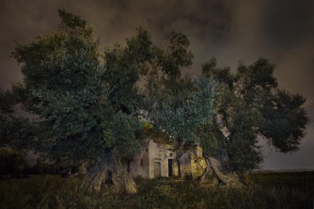 premio mia photo fair bnl