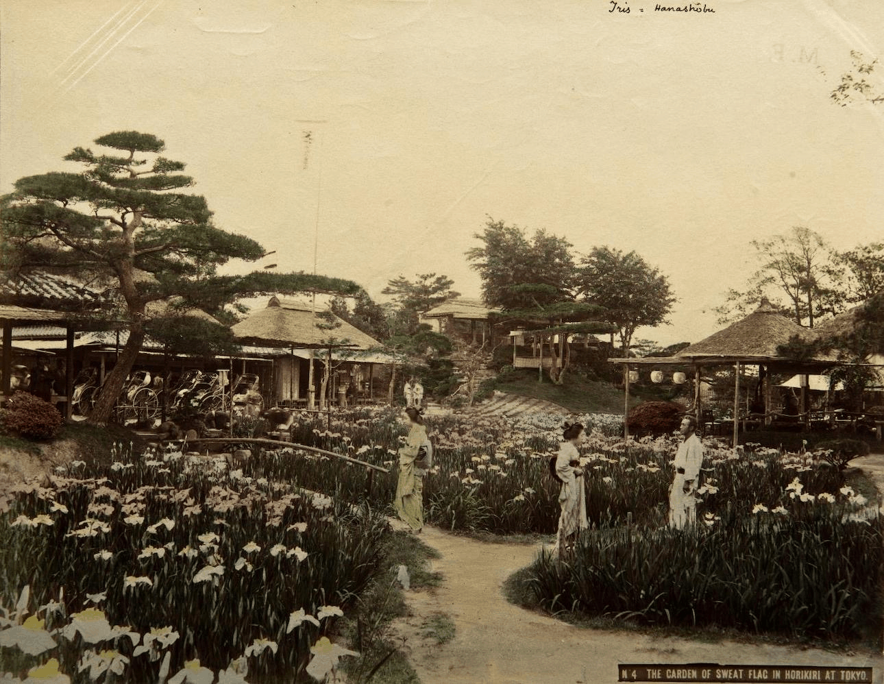 fotografie-giapponesi-due-collezioni-italiane-svizzera-ritorno_3