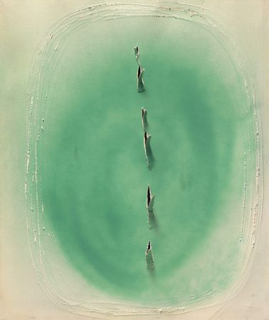 Forever Green Giubergia