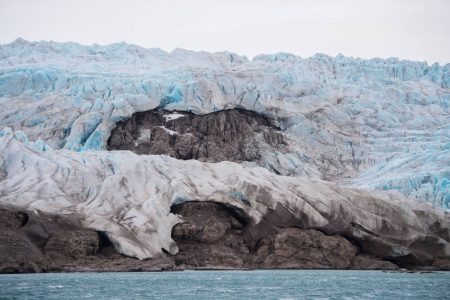 Guindani e Generali: la volpe artica non si mimetizza più