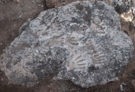 scoperte archeologiche