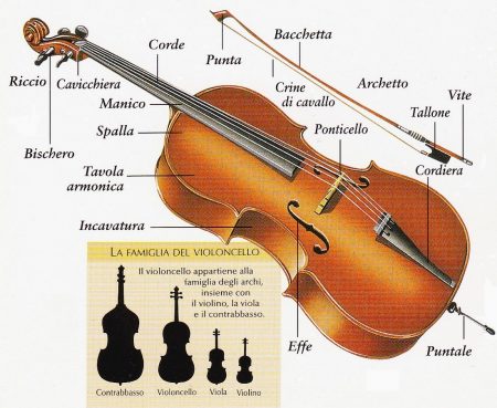 beni collezione stradivari