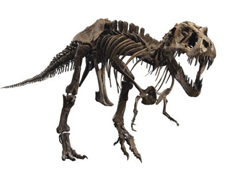 oggetti più cari 2020