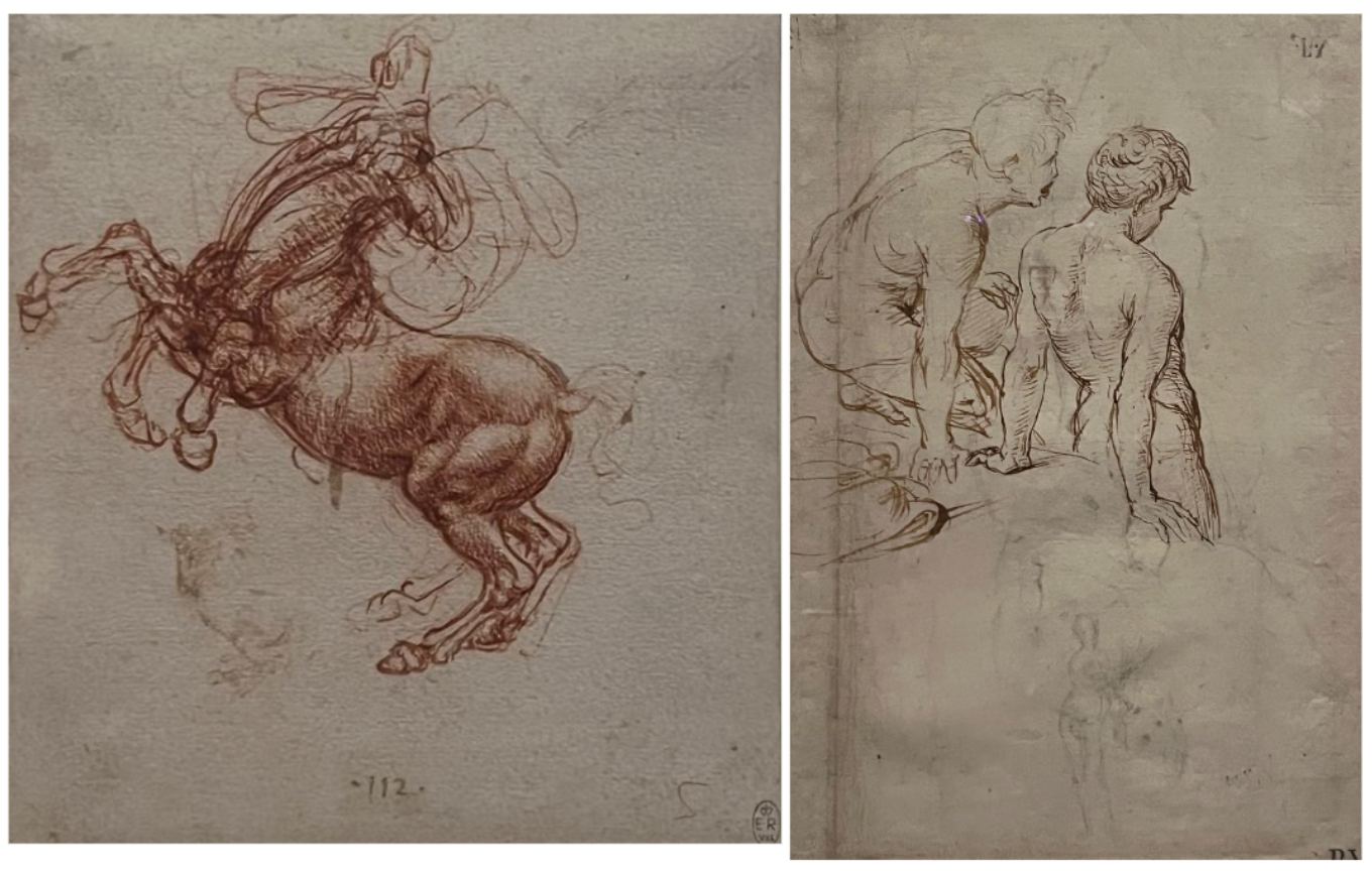 Due schizzi: quello a sinistra mostra un cavallo impennato con linee dinamiche, e quello a destra raffigura due figure nude sedute disegnate in dettaglio. Entrambi sono su carta ruvida, e mostrano intricati studi iniziali ed esplorazione della forma.