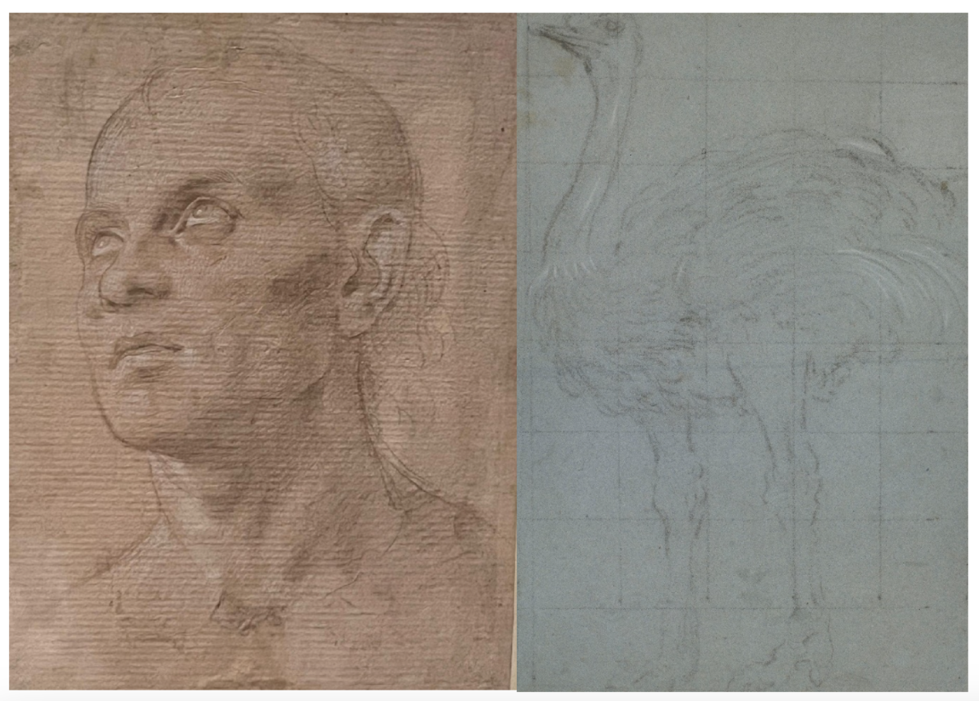 Uno schizzo sulla sinistra mostra una persona che guarda verso l'alto, disegnato in toni seppia su carta ruvida. Sulla destra, c'è un debole disegno a matita di uno struzzo su uno sfondo a griglia azzurro.