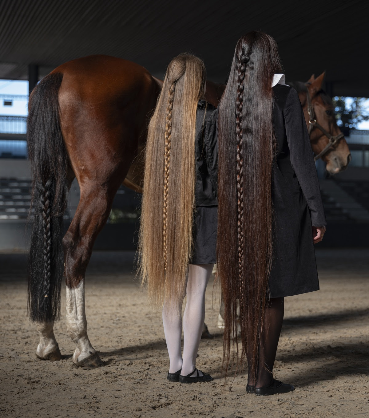 Alla MIA Photo Fair, due persone sono in piedi accanto a un cavallo in un'arena coperta, i loro lunghi capelli intrecciati sfiorano quasi il terreno. Vestiti con eleganti abiti neri che si abbinano al mantello marrone scuro del cavallo, questa sorprendente immagine cattura una novità unica: l'armonia dei loro fluenti riccioli.
