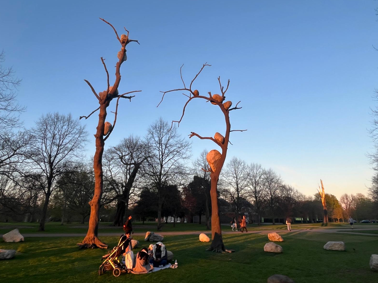 La gente si raduna sull'erba vicino a due alberi alti e spogli con rami insoliti e spessi in un parco al tramonto. Passeggini e rocce sono sparsi intorno, con altri alberi e un cielo azzurro e terso sullo sfondo.