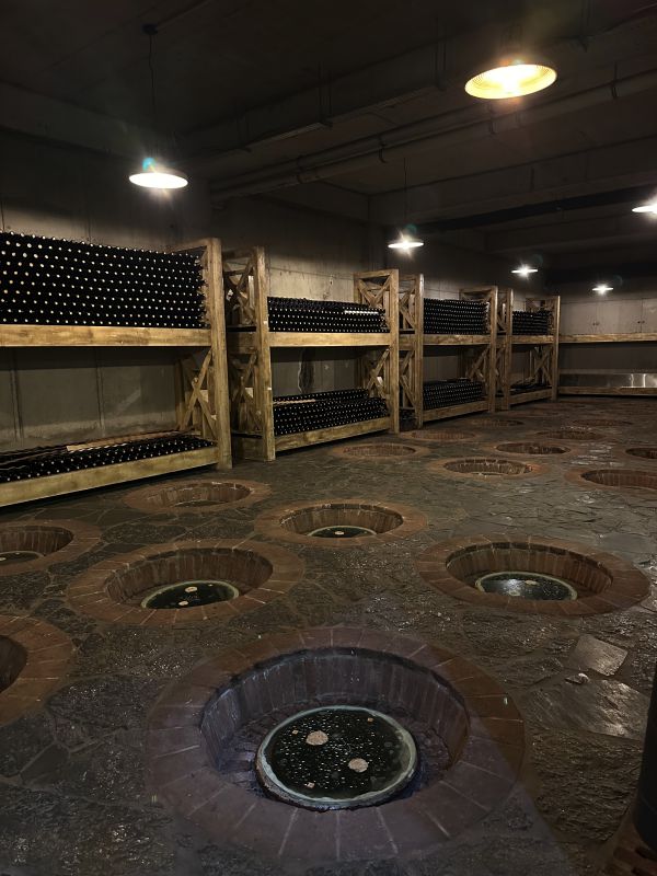 Una cantina scarsamente illuminata con scaffali di bottiglie di Vino Georgia lungo le pareti e diverse fosse circolari con coperchi di vetro incastonati nel pavimento in pietra. Tre lampade a soffitto pendono dal soffitto, proiettando una luce calda sulla scena.