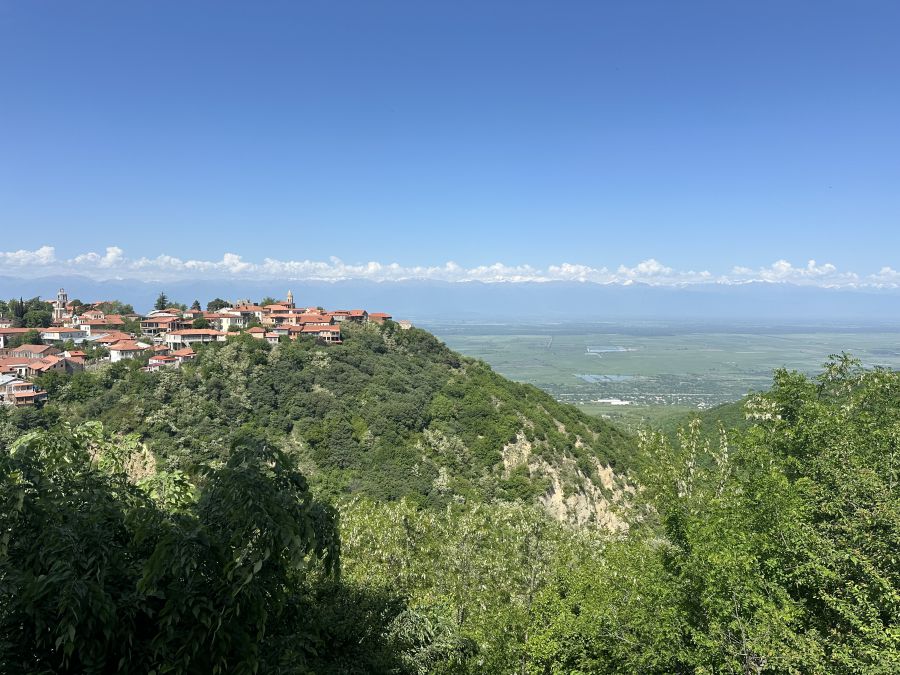 Un villaggio in cima a una collina con edifici dai tetti rossi, circondato da una vegetazione lussureggiante, che domina una vasta e pianeggiante valle famosa per il vino Georgia, il tutto sotto un cielo azzurro e limpido punteggiato da sparse nuvole bianche.