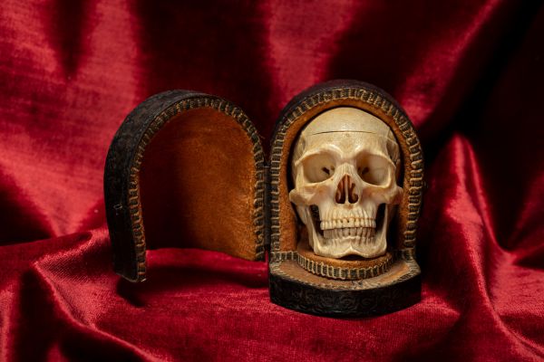 Una piccola replica di teschio umano è esposta all'interno di una teca decorata e aperta, rivestita di materiale marrone, su uno sfondo di velluto rosso intenso: una scena che ricorda una mostra di Stefano Gabbana Asta.