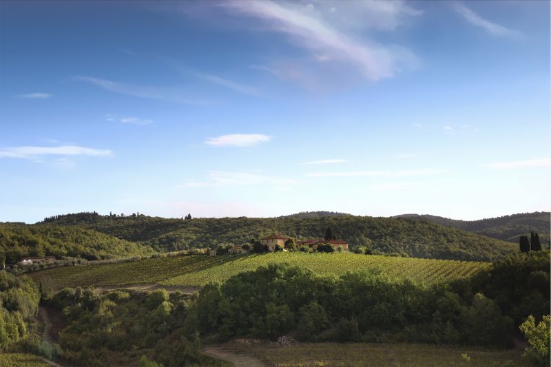 Una vista panoramica di dolci colline verdi sotto un cielo azzurro con nuvole leggere, con i vigneti di Ipsus vino e una piccola casa colonica circondata da alberi in lontananza.