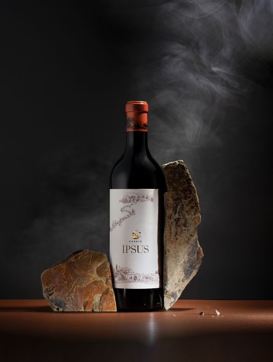 Una bottiglia di vino rosso con l'etichetta "IPSUS" si trova in piedi tra due grandi rocce su una superficie marrone, con un fumo morbido che vortica intorno ad essa su uno sfondo scuro: un'elegante vetrina per il vino Ipsus di qualità.