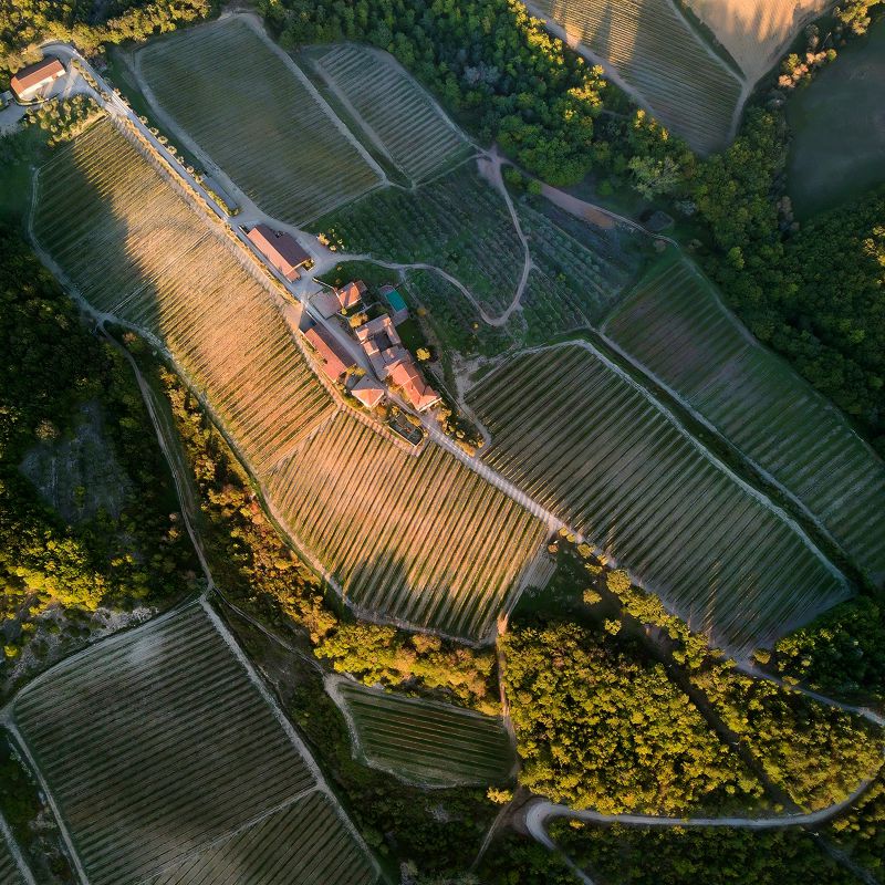Veduta aerea di un vigneto con lunghi filari di viti per l'Ipsus vino, un gruppo di edifici dai tetti rossi al centro, circondati da macchie di alberi e strade sterrate tortuose in un paesaggio rurale.