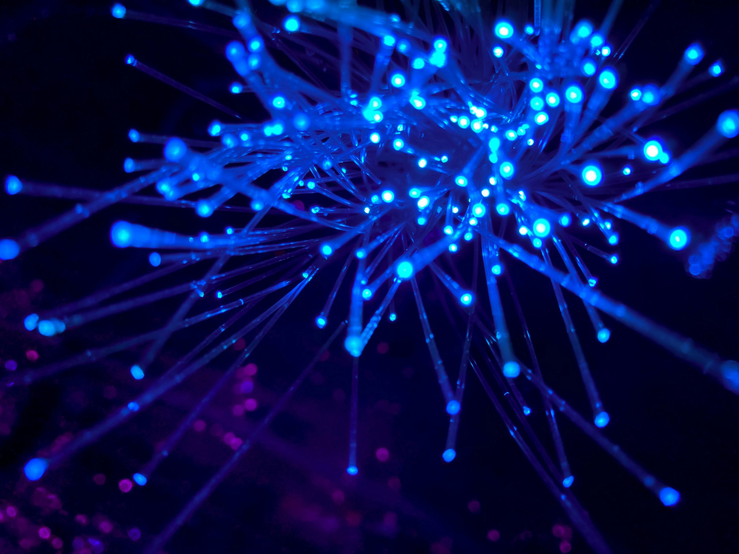 Primo piano di fili di fibre ottiche blu incandescenti che si irradiano verso l'esterno su uno sfondo scuro, creando un disegno futuristico e astratto che evoca la complessità e la precisione di una gestione consulenziale evoluta.