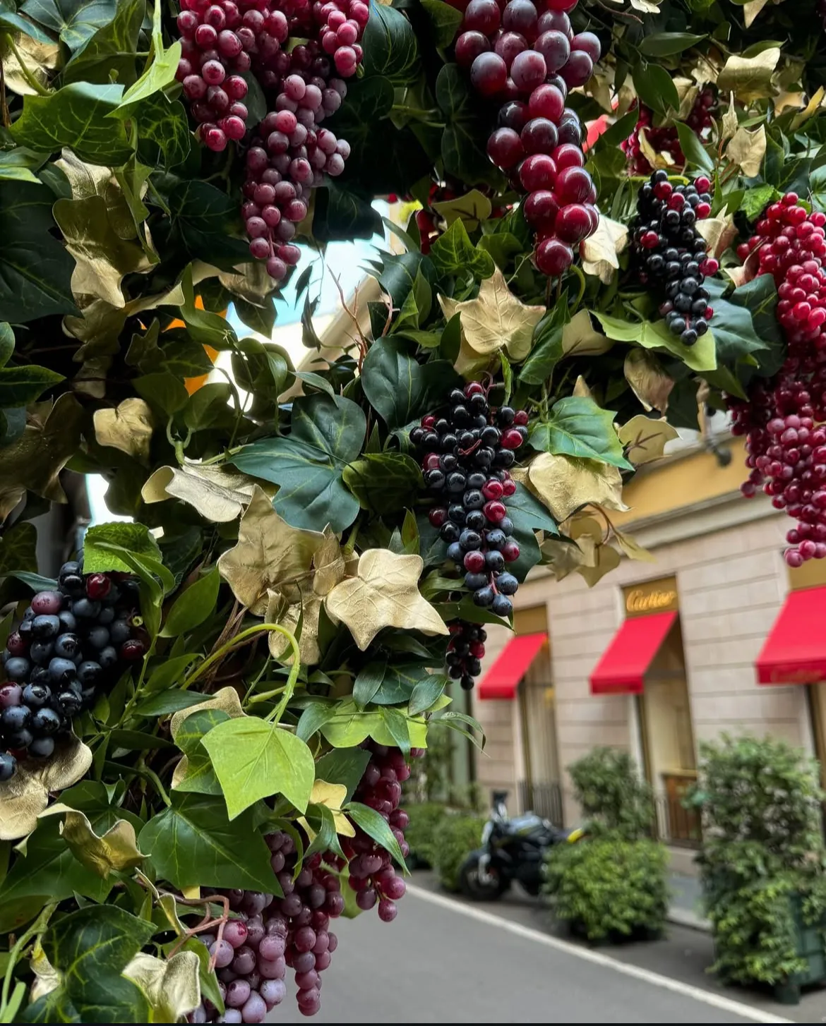 Viti artificiali con grappoli d'uva rossa e nera e foglie d'oro, ispirate alla Vendemmia MonteNapoleone, pendono sopra una strada; sullo sfondo, si vede un edificio con tende da sole rosse e cespugli verdi.