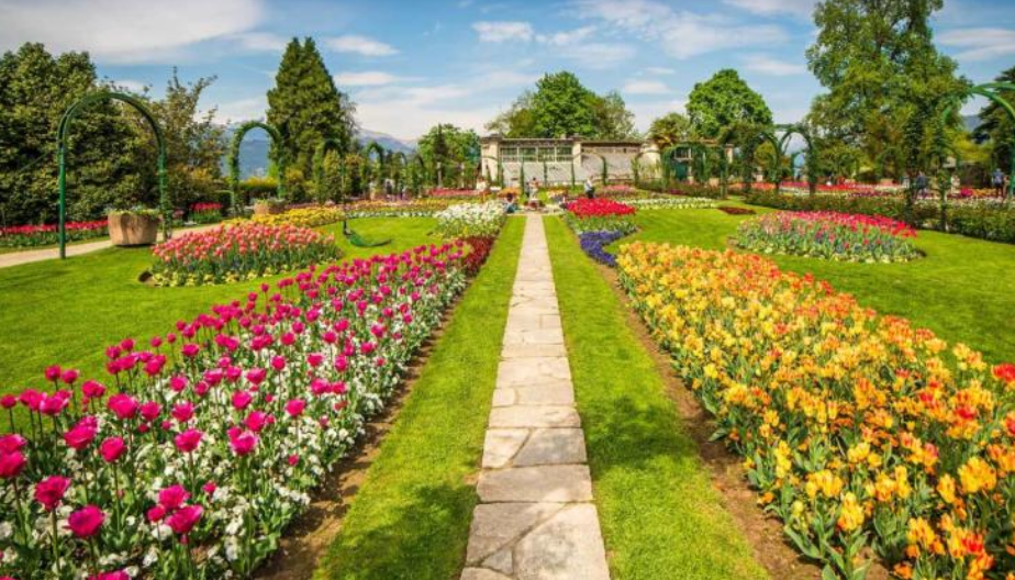Un sentiero di pietra conduce attraverso un colorato giardino Borromeo pieno di tulipani fioriti in rosa, rosso, arancione e giallo, circondato da erba verde e alberi sotto un cielo blu brillante.