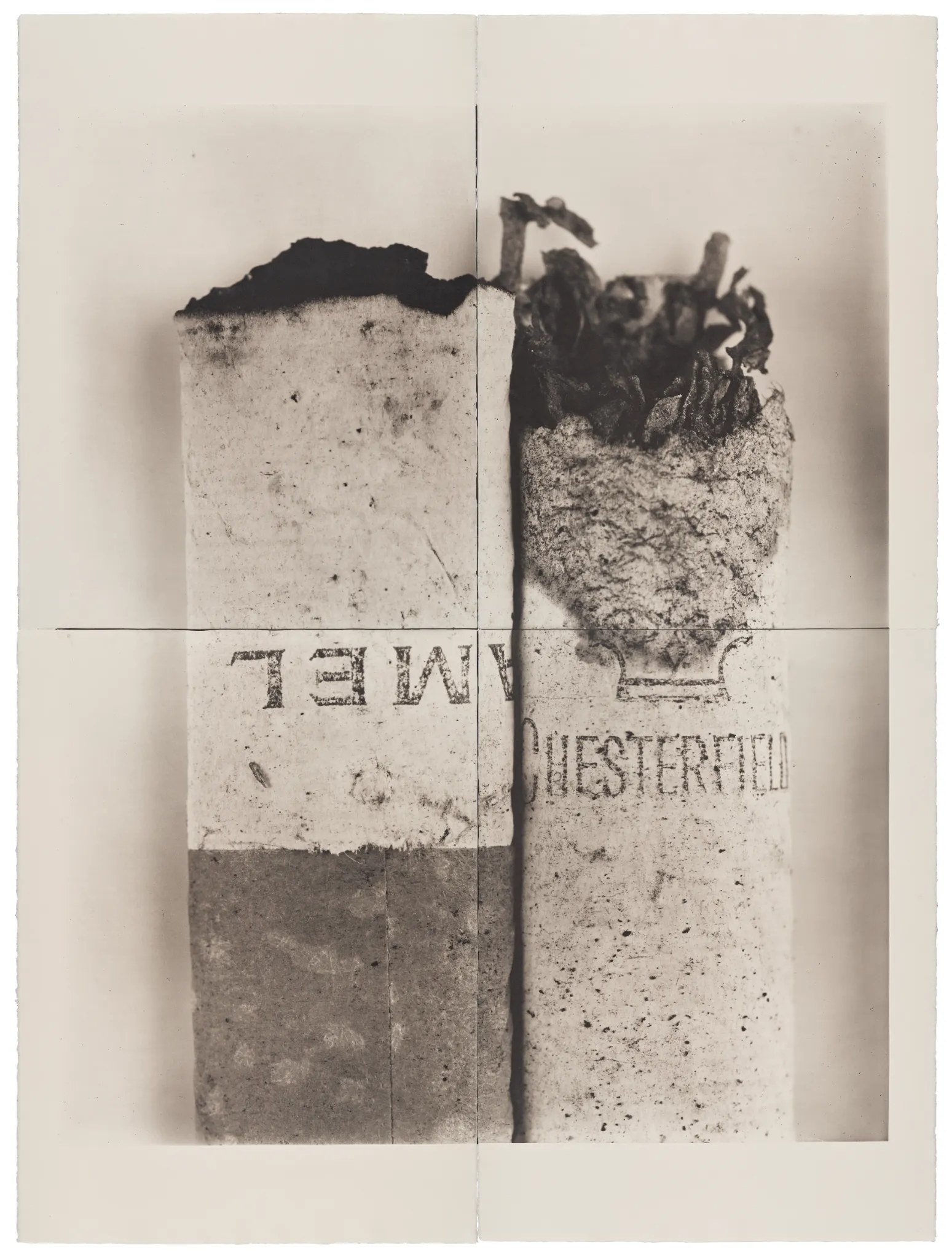 Una fotografia in primo piano, dai toni seppia, che ricorda le aste di Irving Penn, mostra due estremità di sigaretta bruciate una accanto all'altra, una etichettata come "CAMEL" e l'altra come "CHESTERFIELD", entrambe con cenere e tabacco visibili.