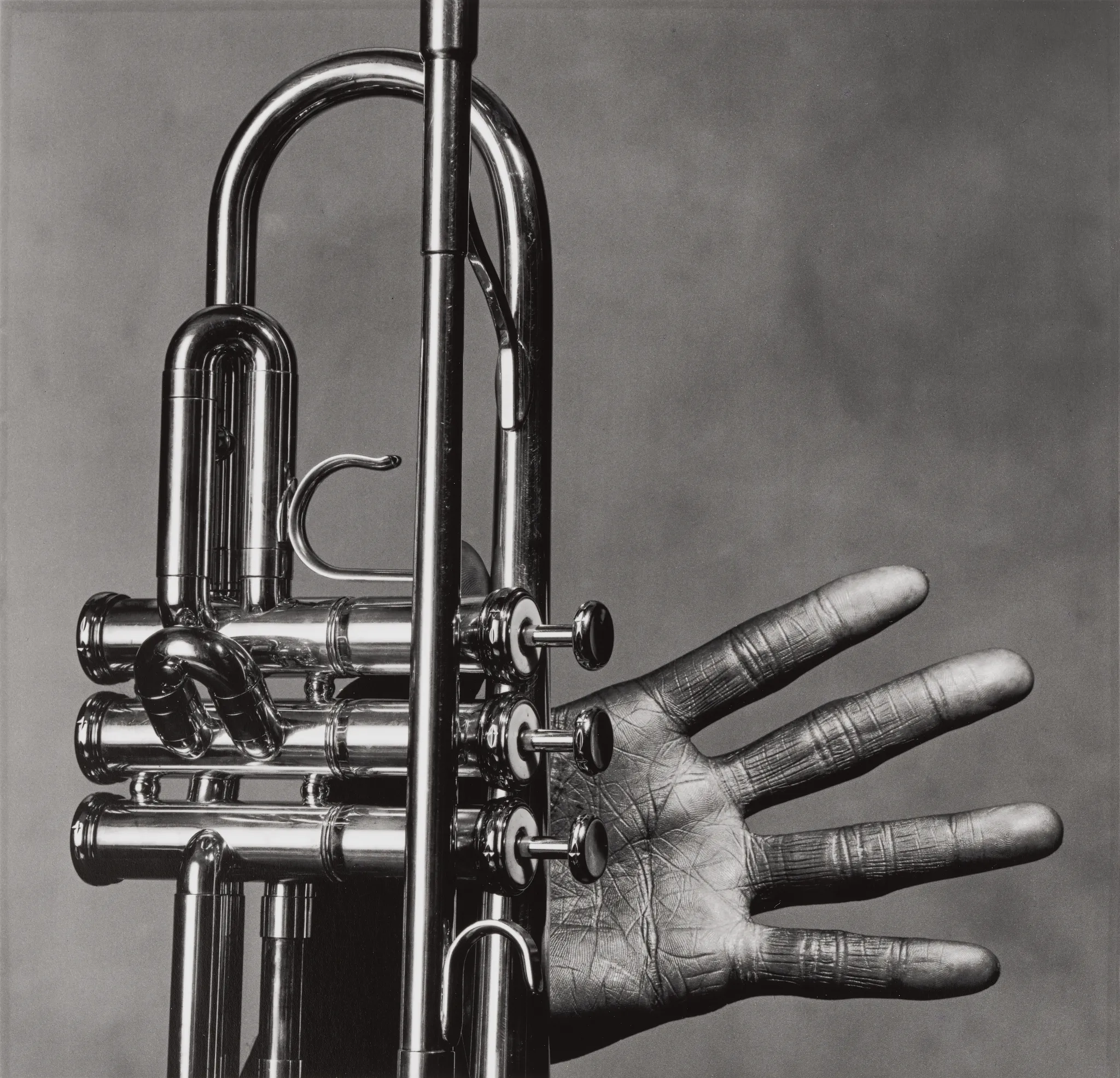 Una foto in bianco e nero in primo piano nello stile di Irving Penn, che ritrae una tromba tenuta in verticale davanti a una mano tesa, con il palmo e le dita visibili dietro le valvole e i tubi dello strumento: un'immagine degna di qualsiasi asta prestigiosa.