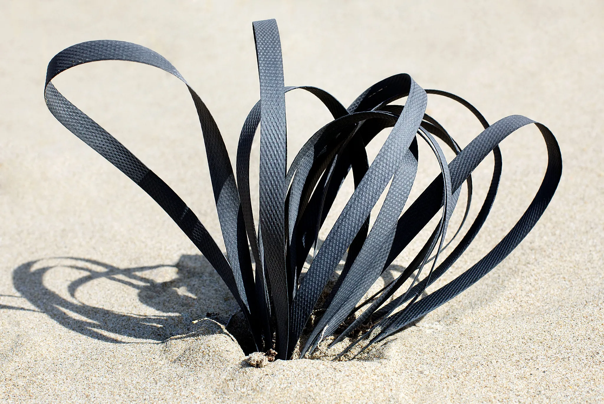 Diverse lunghe e sottili cinghie di plastica nera emergono dalla sabbia in forme curve e anulari, creando un motivo astratto che ricorda lo stile minimalista di Giuseppe Ripa AIPB sullo sfondo sabbioso chiaro.