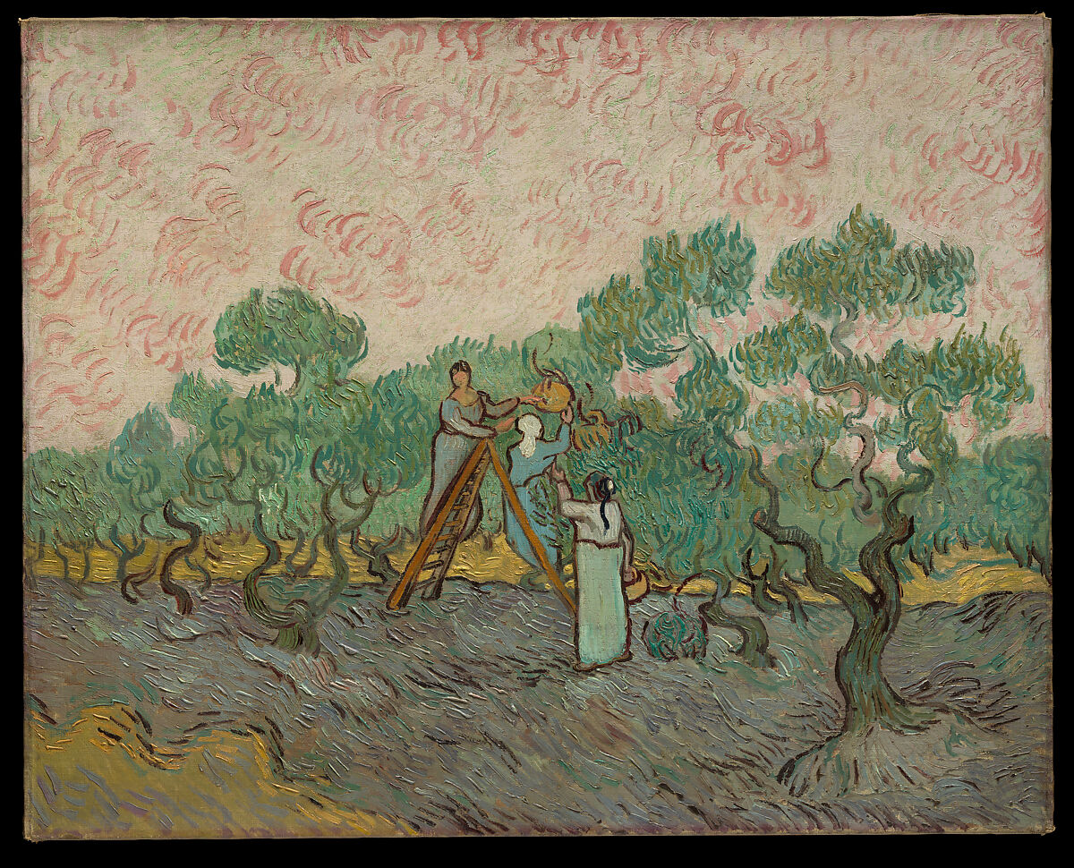 Tre donne raccolgono olive da alberi contorti sotto un cielo vorticoso bianco e rosa. Due donne si trovano accanto a una scala in questo paesaggio impressionistico e colorato, evocando lo spirito delle restituzioni opere d'arte attraverso il loro rituale senza tempo.