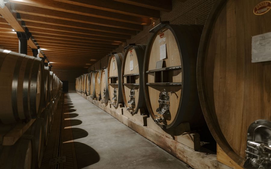 Grandi botti di legno sono allineate in fila all'interno di una cantina poco illuminata, dove si affina il Barolo Monvigliero. Rubinetti ed etichette di metallo sono attaccati alla parte anteriore di ogni botte, sotto il soffitto di legno e il pavimento di cemento.