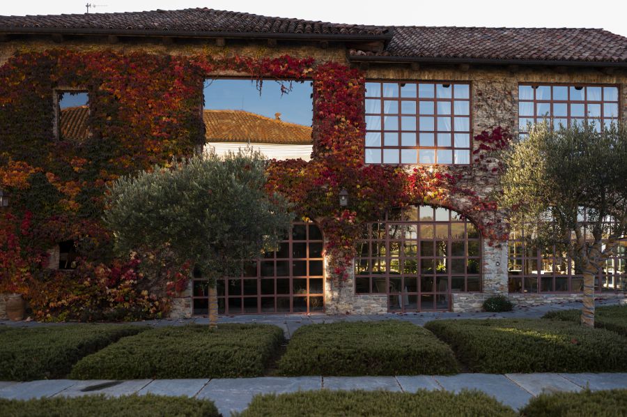Un edificio rustico in pietra ricoperto di edera rossa e verde, con grandi finestre a griglia che riflettono il cielo. Siepi curate e due ulivi delimitano il primo piano: un ambiente pittoresco degno del Barolo Monvigliero. La luce del sole illumina la scena.