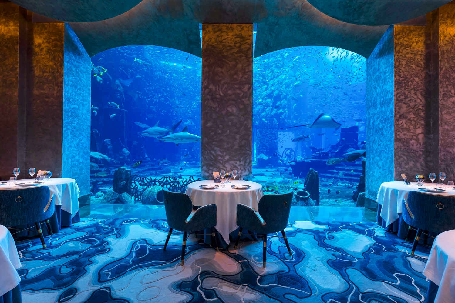 Elegant underwater restaurant with round tables and blue chairs facing large aquarium windows, showcasing sharks and fish swimming among ruins and coral, creating a unique dining atmosphere.