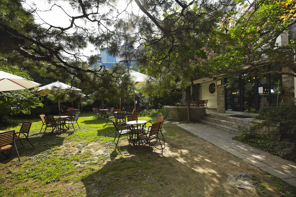 A peaceful outdoor café with wooden tables and chairs on a grassy lawn, shaded by large trees and white umbrellas, with sunlight filtering through the branches. A building entrance is visible on the right.