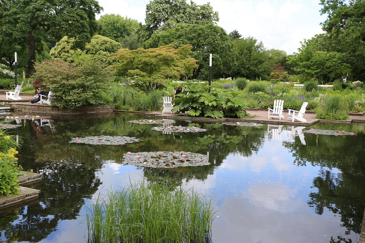 Un tranquillo giardino di Lugano con uno stagno che riflette il cielo, circondato da una vegetazione lussureggiante, piante fiorite e diverse sedie Adirondack bianche posizionate su ponti di legno lungo il bordo dell'acqua.