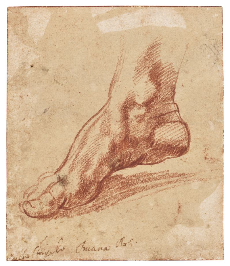 Un disegno di un piede ispirato a Michelangelo Scoperto, che cattura i dettagli anatomici con una precisione magistrale.