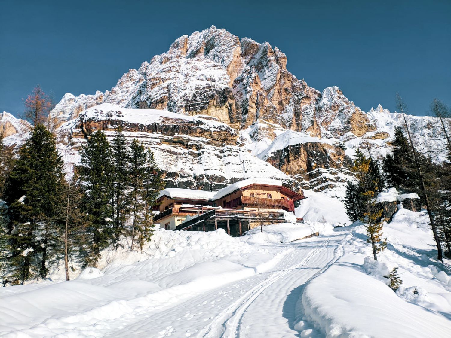 Una baita di legno si trova tra alberi innevati alla base di una montagna aspra e illuminata dal sole, sotto un cielo azzurro e limpido: una perfetta fuga invernale che sembra lontana dal ritmo di un weekend milanese. Un sentiero innevato conduce alla baita attraverso un paesaggio tranquillo.